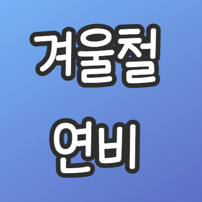 겨울-연비